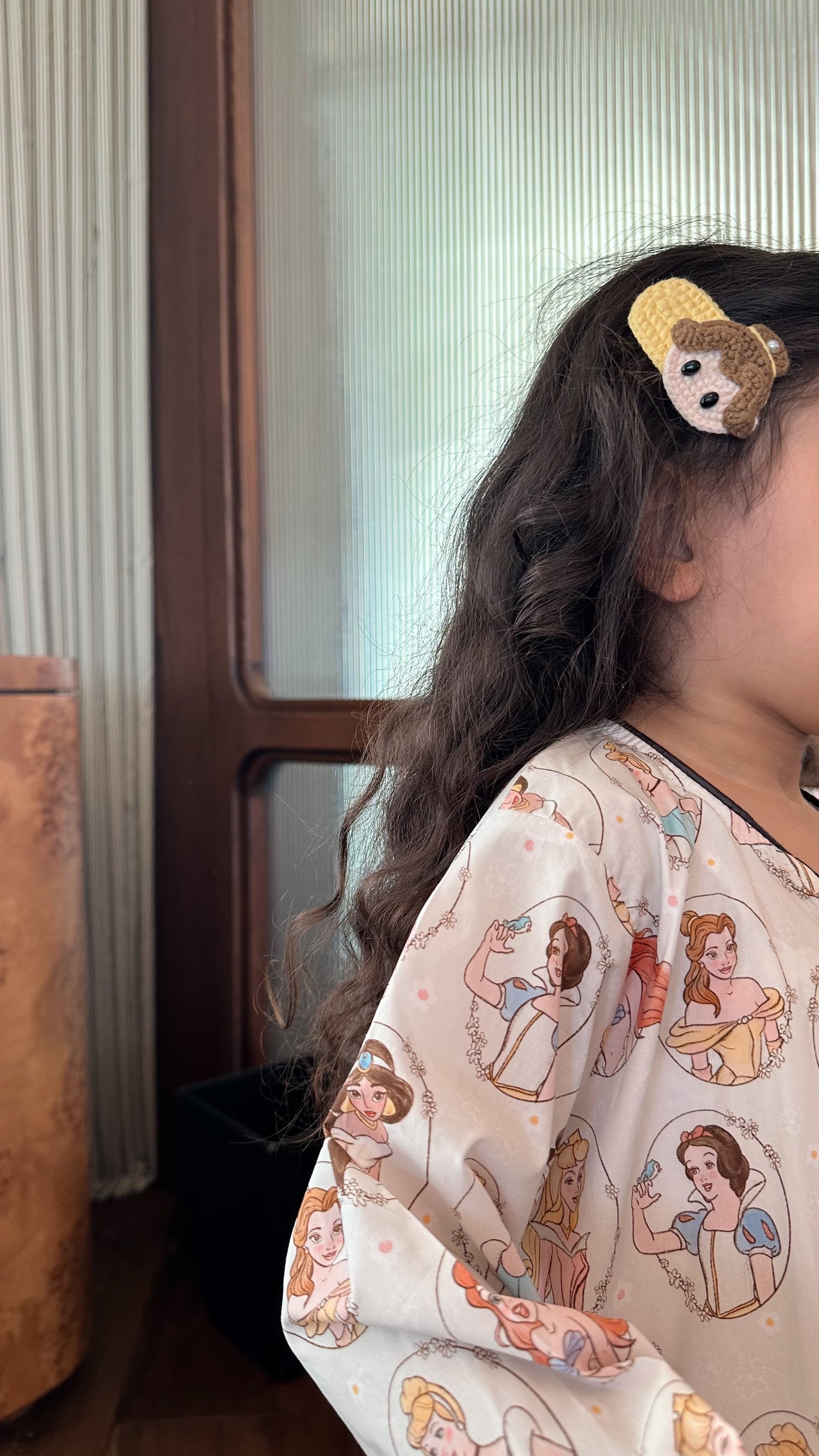 Princess hairclips set